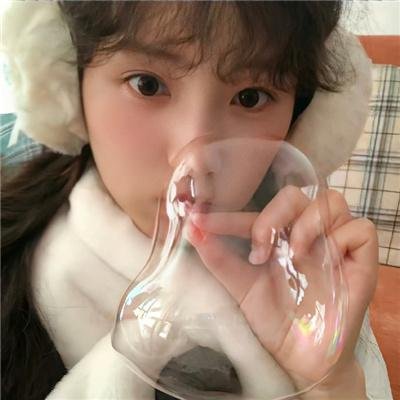 星星守护犬